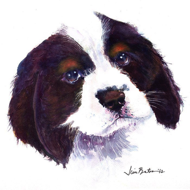 Cavalier King Charles
$210
12 x 12”
Black wood Frame